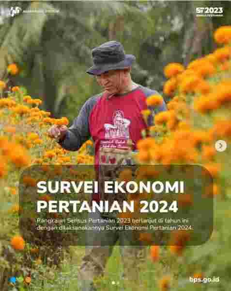 Survei Ekonomi Pertanian 2024