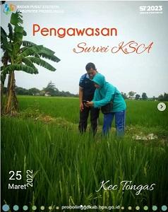 Pengawasan Survei Kerangka Sampel Area (KSA)