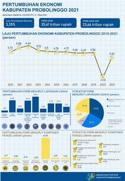 Pertumbuhan Ekonomi  Kabupaten Probolinggo 2021