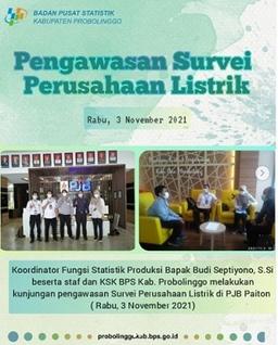 Pengawasan Survei Perusahaan Listrik