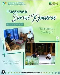 Komstrat Survey Supervision